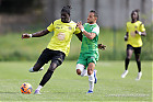 20260510-1649_FOLHAR_690.jpg