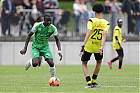 20260510-1737_FOLHAR_1144.jpg