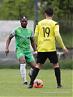 20260510-1737_FOLHAR_1155.jpg