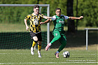 20260712-1704_BEGHAR_001.jpg