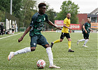 20260913-1631_HARSCH_068.jpg