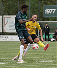 20260913-1711_HARSCH_120.jpg