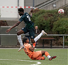 20260913-1728_HARSCH_164.jpg