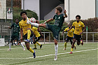 20260913-1733_HARSCH_176.jpg
