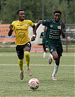 20260913-1735_HARSCH_179.jpg