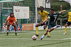 20260913-1743_HARSCH_243.jpg