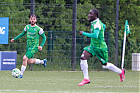 Nom du fichier=20250525-1508_HARASC_060.jpg
Taille du fichier=207Ko
Dimensions : 1000x666
Ajouté le : 25 Mai 2025 20250525-1508_HARASC_060.jpg