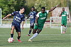 20261004-1627_HARSTE_013.jpg