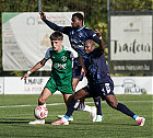 20261004-1633_HARSTE_029.jpg