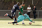 20261004-1713_HARSTE_077.jpg